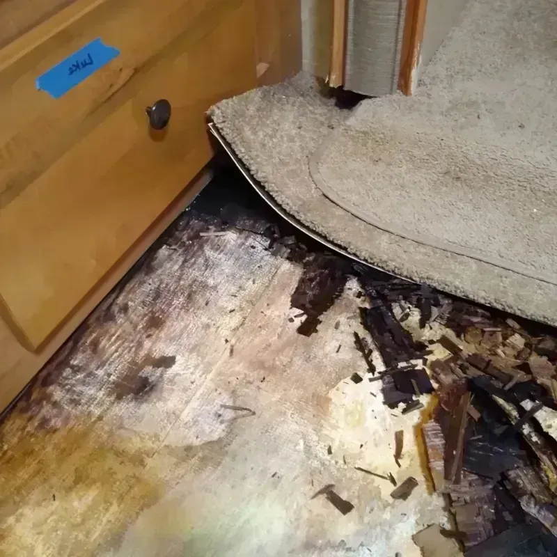 Wood Floor Water Damage in Franklin County, NE